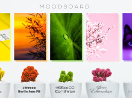 Comment un moodboard peut stimuler votre créativité ? MOODBOARD