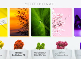 Comment un moodboard peut stimuler votre créativité ? MOODBOARD